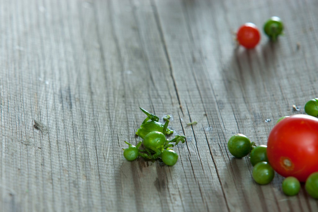 just green tomatoes?